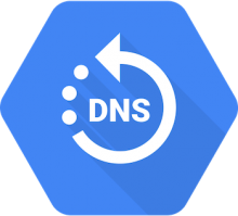 Google Cloud DNS logo